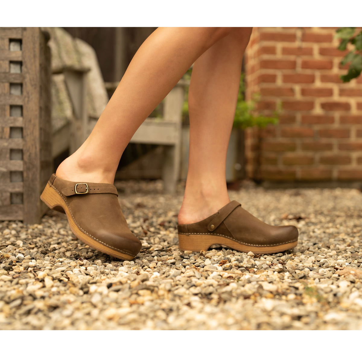 Dansko Women's Berry in Mushroom Burnished Nubuck Mule